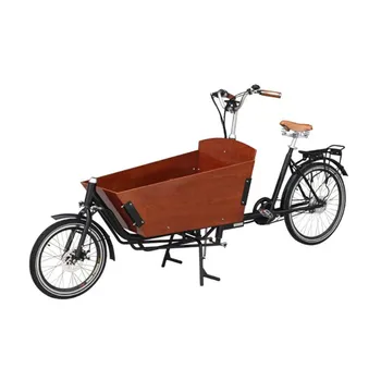 עיצוב יפה 3 גלגלים-תלת אופן חשמלי מטען האופניים על נושא ילדים