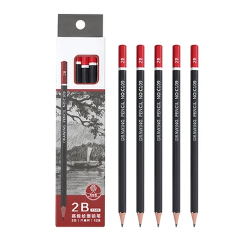 ציור מקצועיים רישום עיפרון להגדיר 12Pcs עפרונות למתחילים Pro אמנים