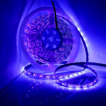 UV LED רצועת אור 12V 16.4 מטרים עמיד למים סרט שחור גמיש אולטרה סגול קלטת די. ג ' יי קרינה פלואורסצנטית